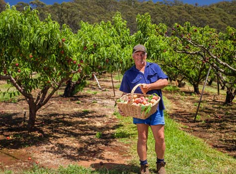 Agribusiness Agribusiness