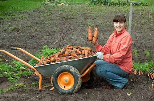 Agribusiness Agribusiness