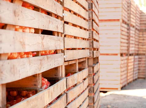 Food Manufacturing Food Manufacturing